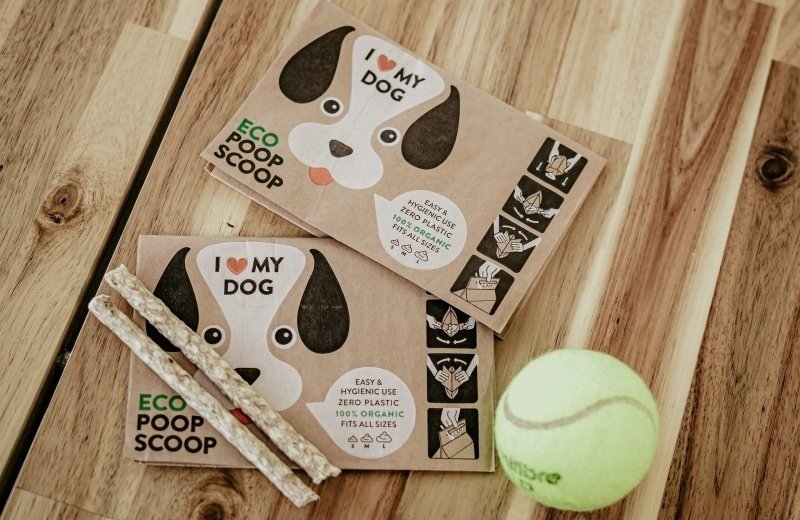 20250401 dsc06738 kopie